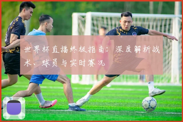 世界杯直播终极指南:深度解析战术、球员与实时赛况